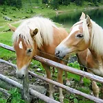 Apartmán Haus Hubertusheim Schladming