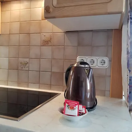Apartment Haus Hubertusheim Schladming