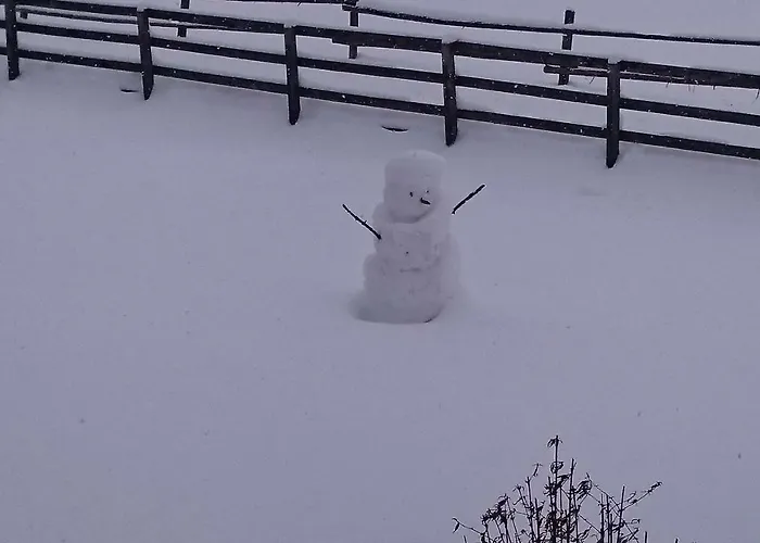 Haus Hubertusheim Apartment