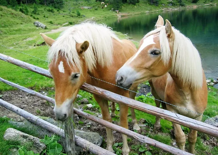 Apartament Haus Hubertusheim Schladming