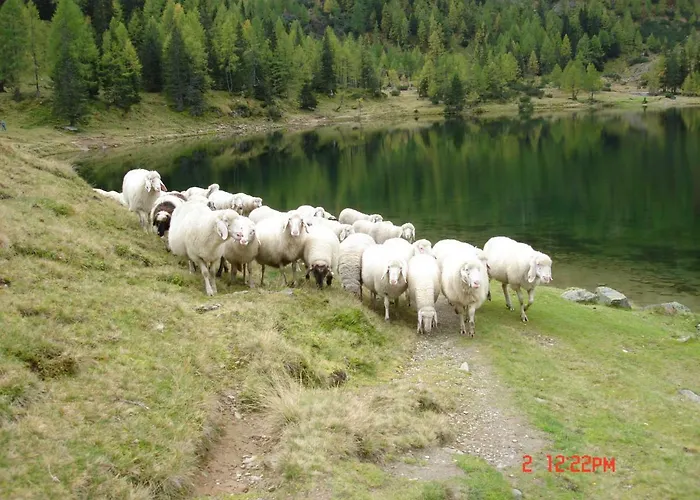 Haus Hubertusheim Schladming