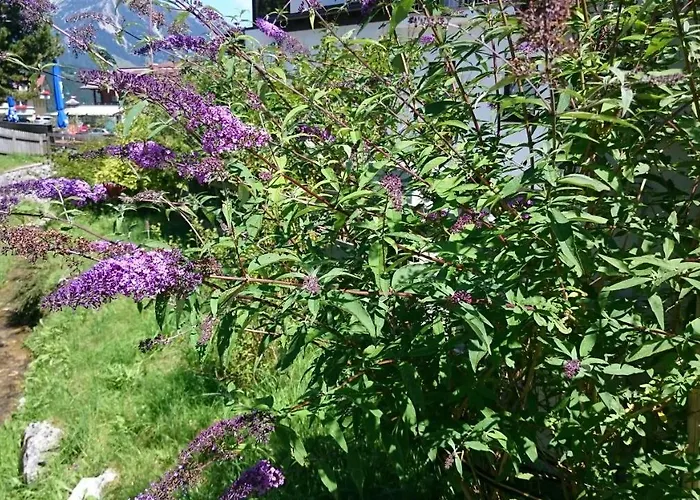 Haus Hubertusheim Apartment