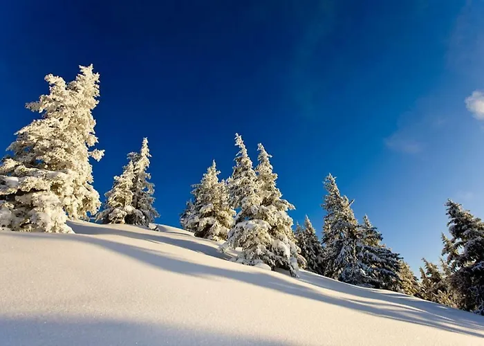 Haus Hubertusheim Apartament *