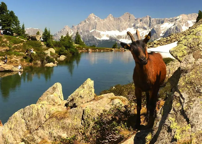 Haus Hubertusheim Appartement *
